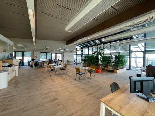 Bureau Lyon 1735m² Location bureau Lyon Rhône OLBUR2202122 14